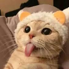 آغا علی avatar